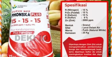 Pupuk NPK Phonska Plus 15-15-15