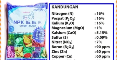 Pupuk NPK bBru Pak Tani