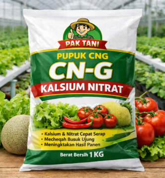 Pupuk kalsium nitrat