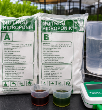 Cara Menggunakan Nutrisi AB Mix