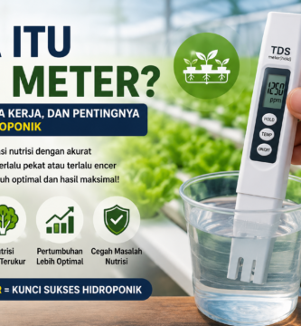 Apa Itu TDS Meter