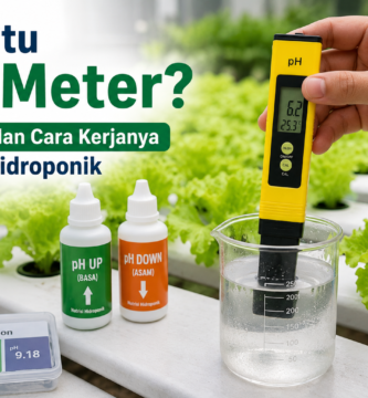 Apa Itu pH Meter