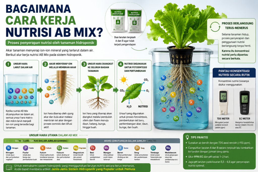 Apa Itu Nutrisi AB Mix?