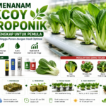 Cara Menanam Pakcoy Hidroponik