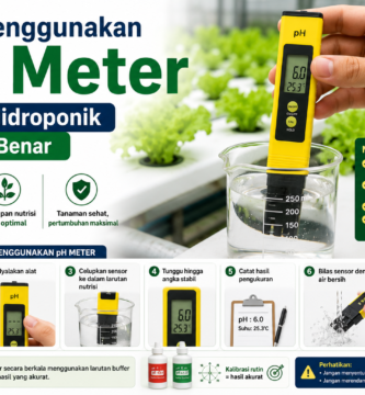 Cara Menggunakan pH Meter untuk Hidroponik dengan Benar