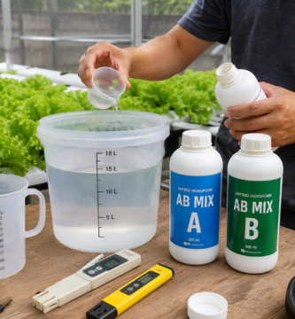 Cara Meracik Nutrisi AB Mix Hidroponik