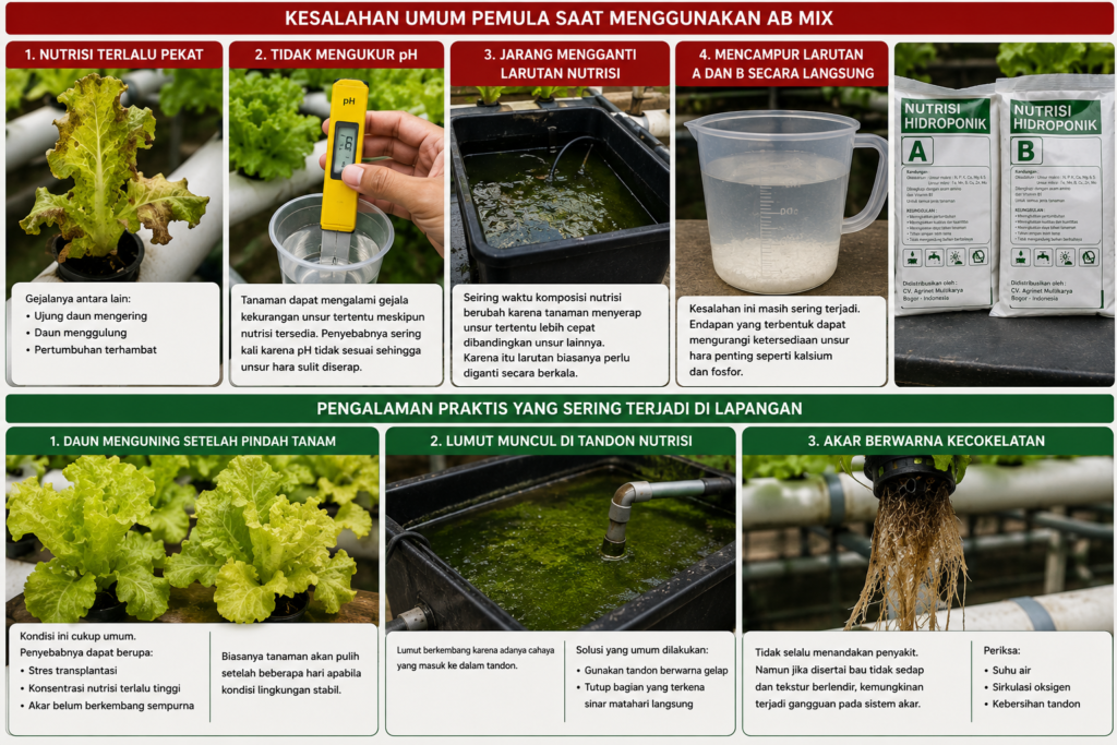 Cara Menggunakan Nutrisi AB Mix