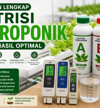 Panduan Lengkap Nutrisi Hidroponik untuk Hasil Optimal