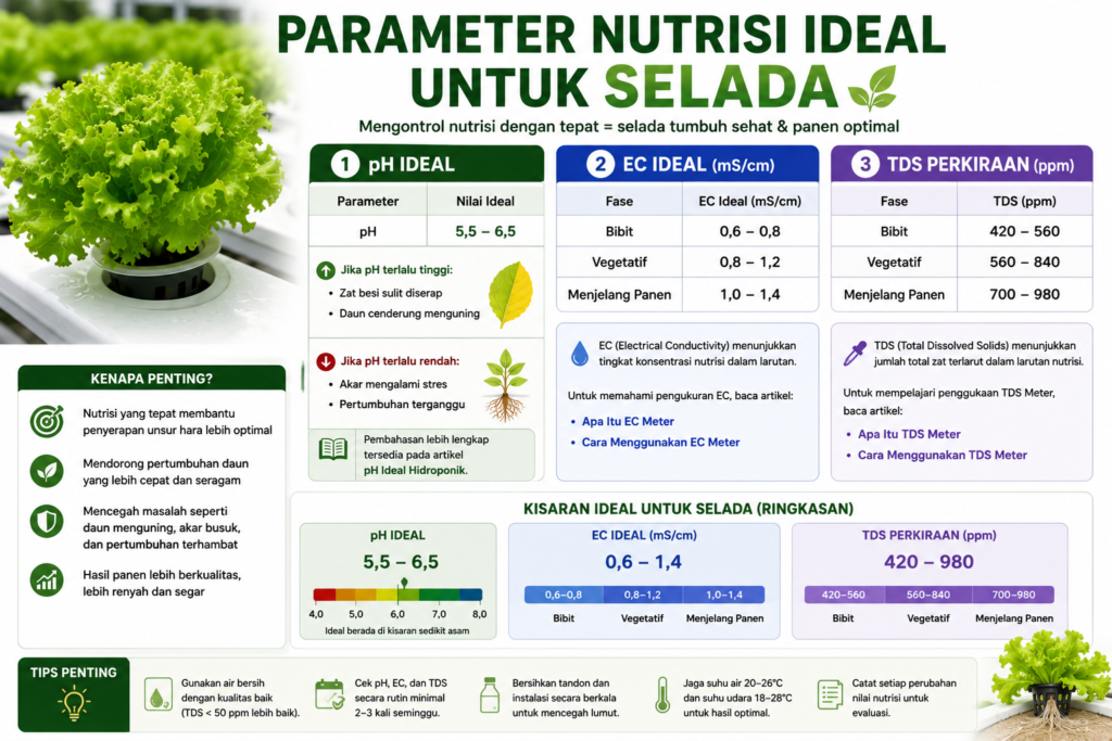 Cara Menanam Selada Hidroponik
