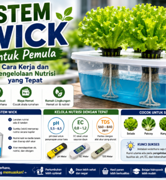 Sistem Wick untuk Pemula