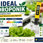 pH Ideal Hidroponik