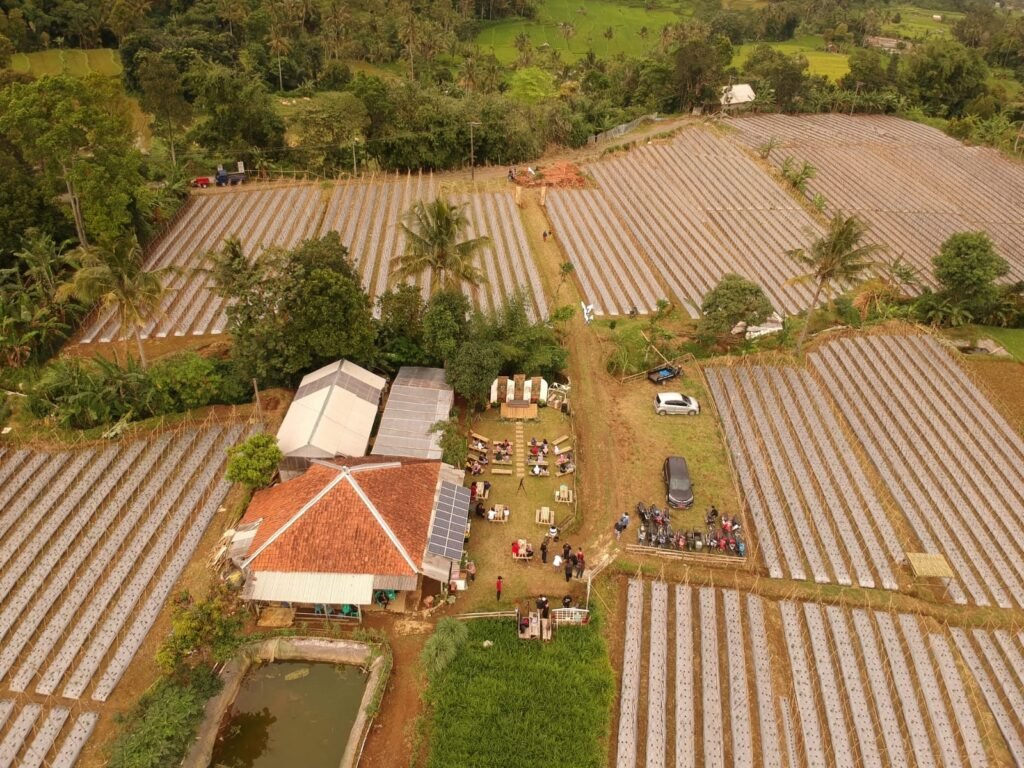 syukur adiwirya